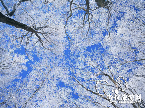 雪景