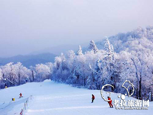 亚布力滑雪场